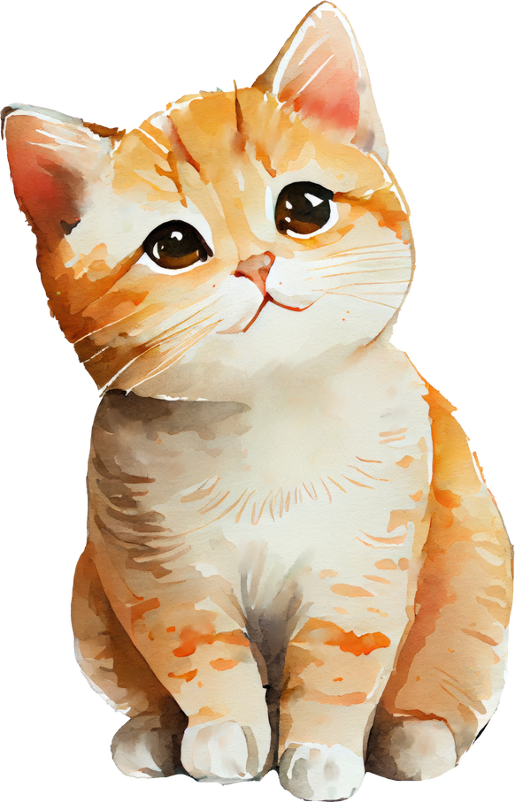 Cute Cat Illustration